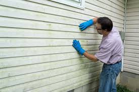 Best Aluminum Siding Installation  in Laughlin, NV